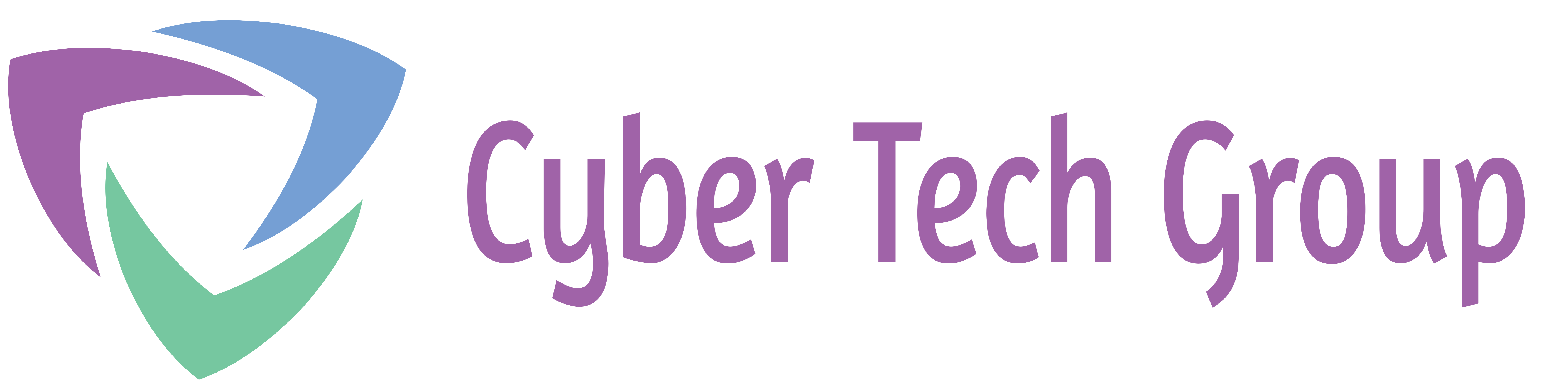 Cyber Tech Group Inc